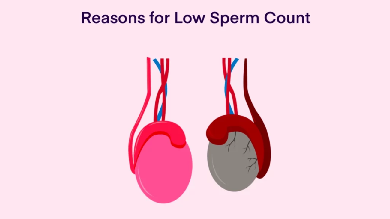 Low Sperm Count in Men: Symptoms, Causes & When to Worry