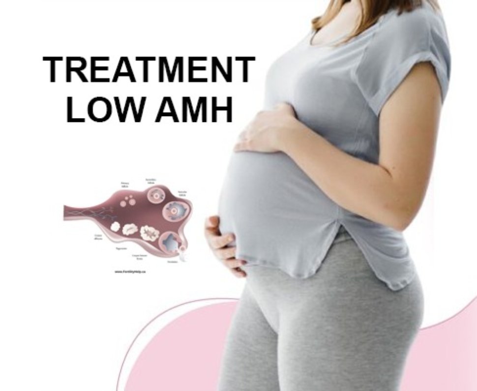 Low AMH Treatment in Chandigarh