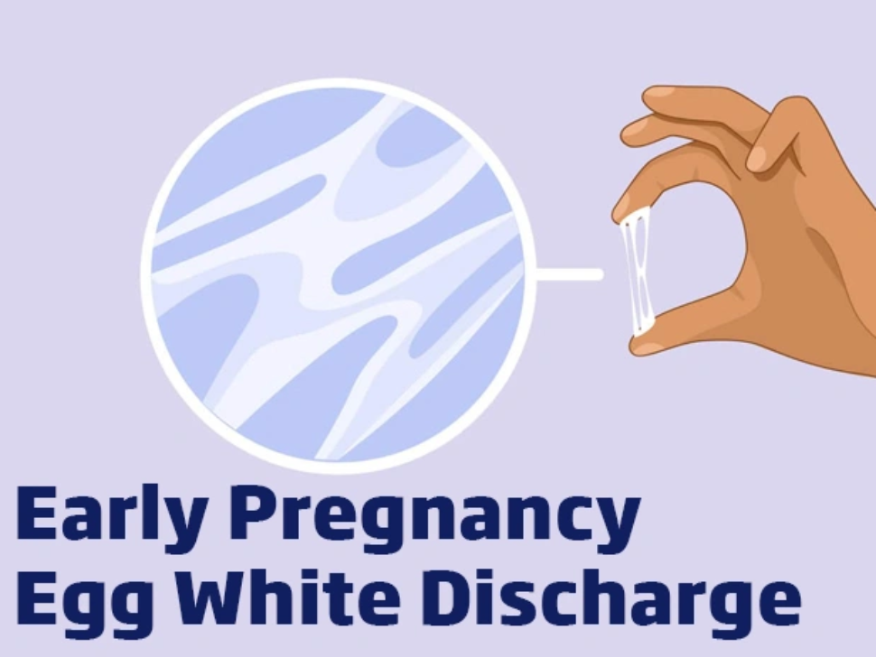 White Discharge Before Period: Normal or Pregnancy Sign?
