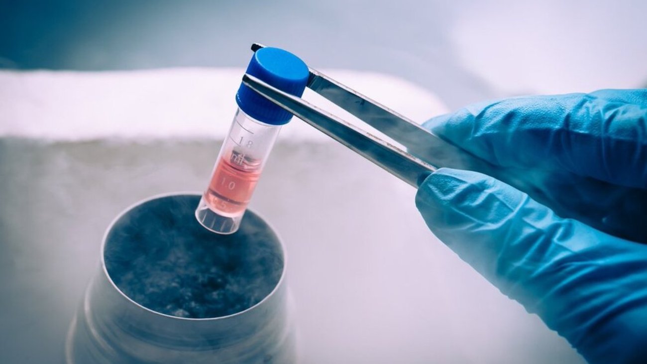 Egg Freezing in India 2026- Cost, Best Age, Process & Success Rates