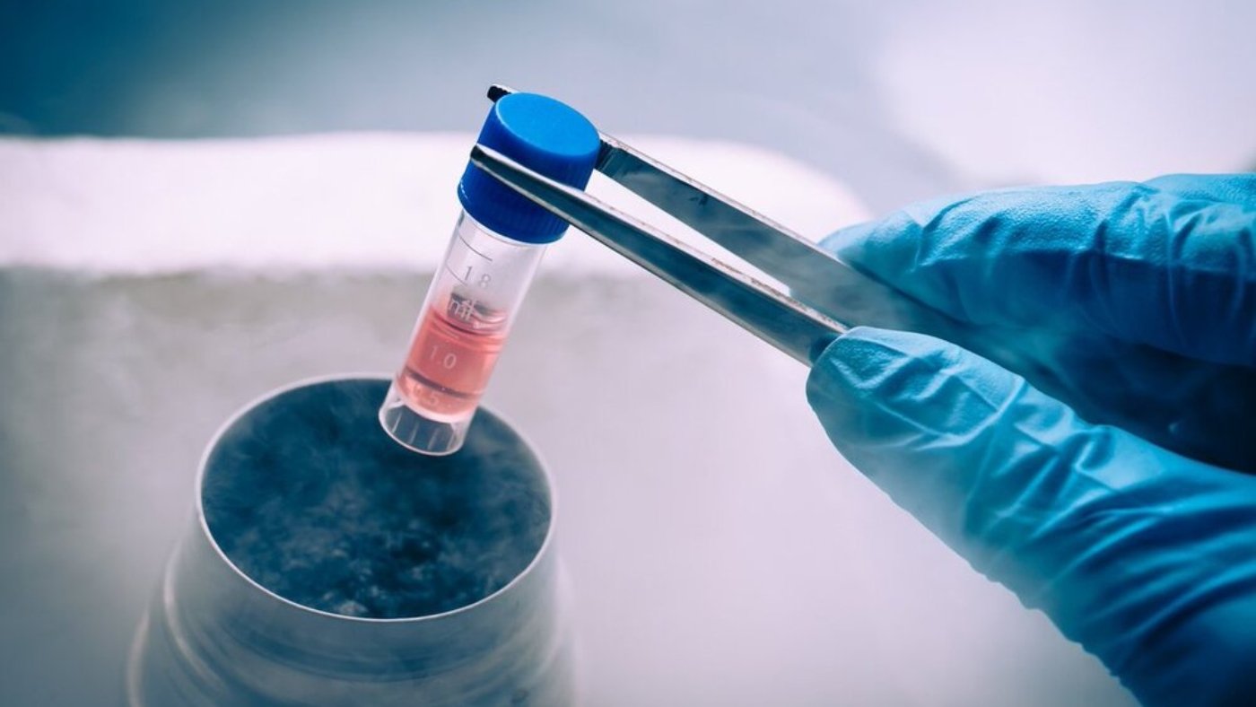 Egg Freezing in India 2026- Cost, Best Age, Process & Success Rates
