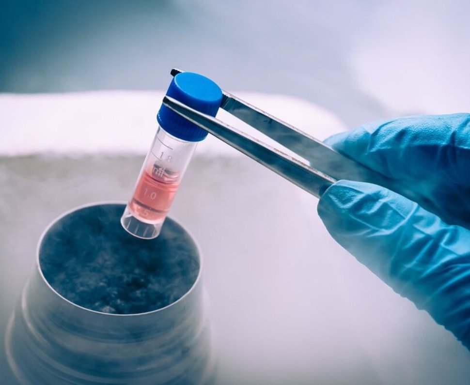Egg Freezing in India 2026- Cost, Best Age, Process & Success Rates